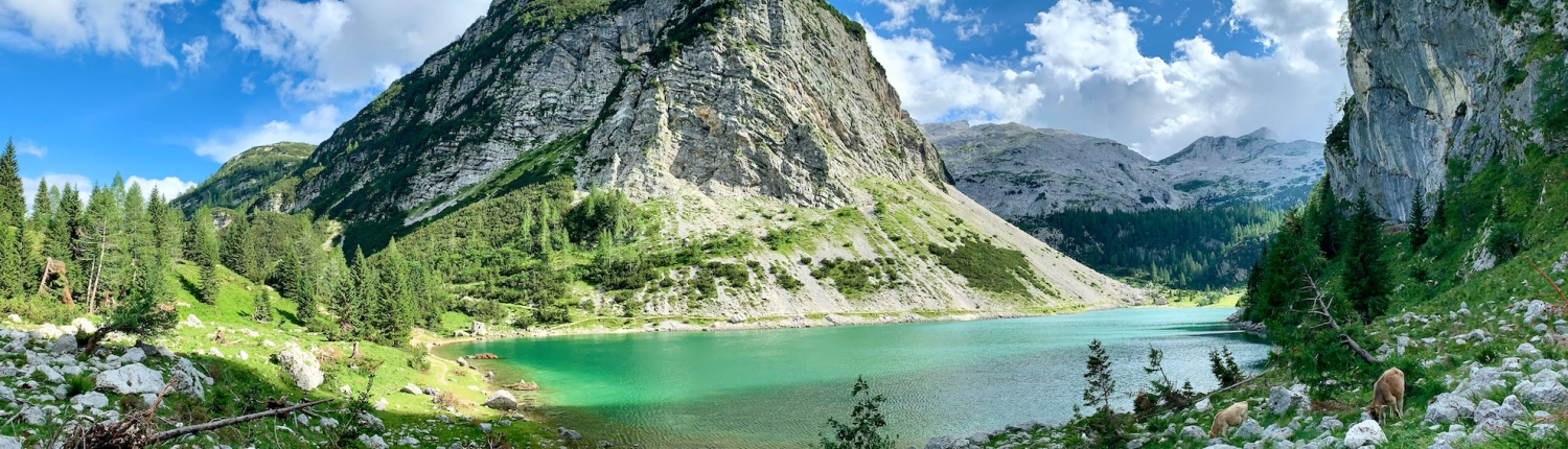 pretty green alpine lake in the mountains of slovenia