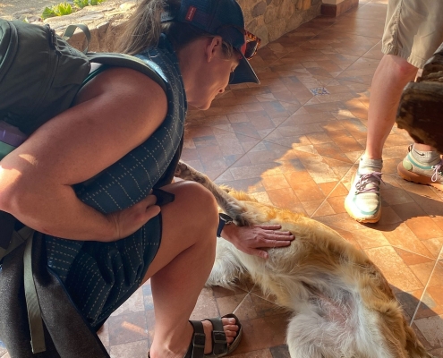 amanda-petting-dog-oaxaca-mexico