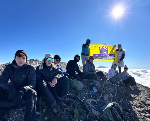 Sammy-blog-(4)-MSH-2