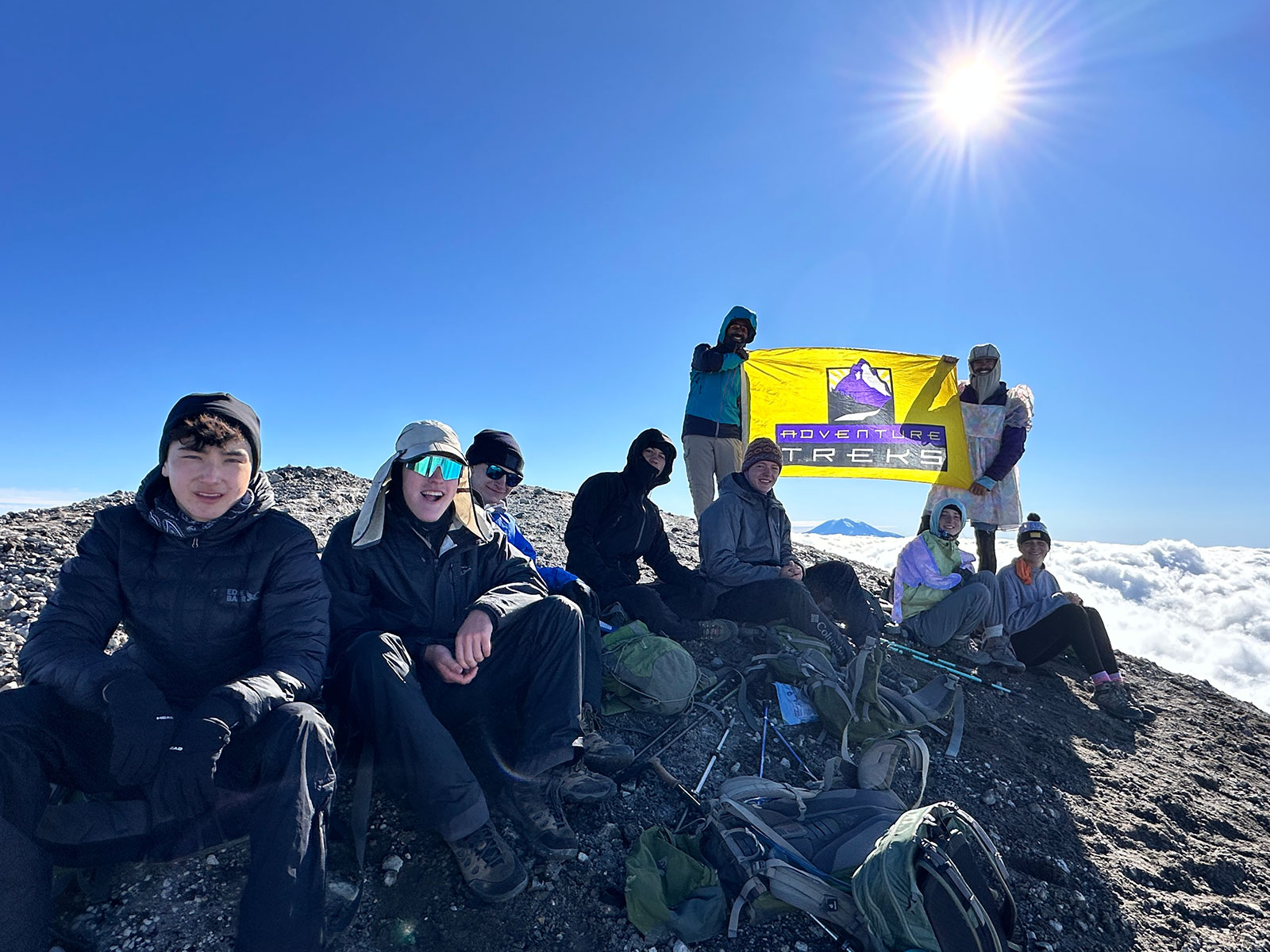 Sammy-blog-(4)-MSH-2